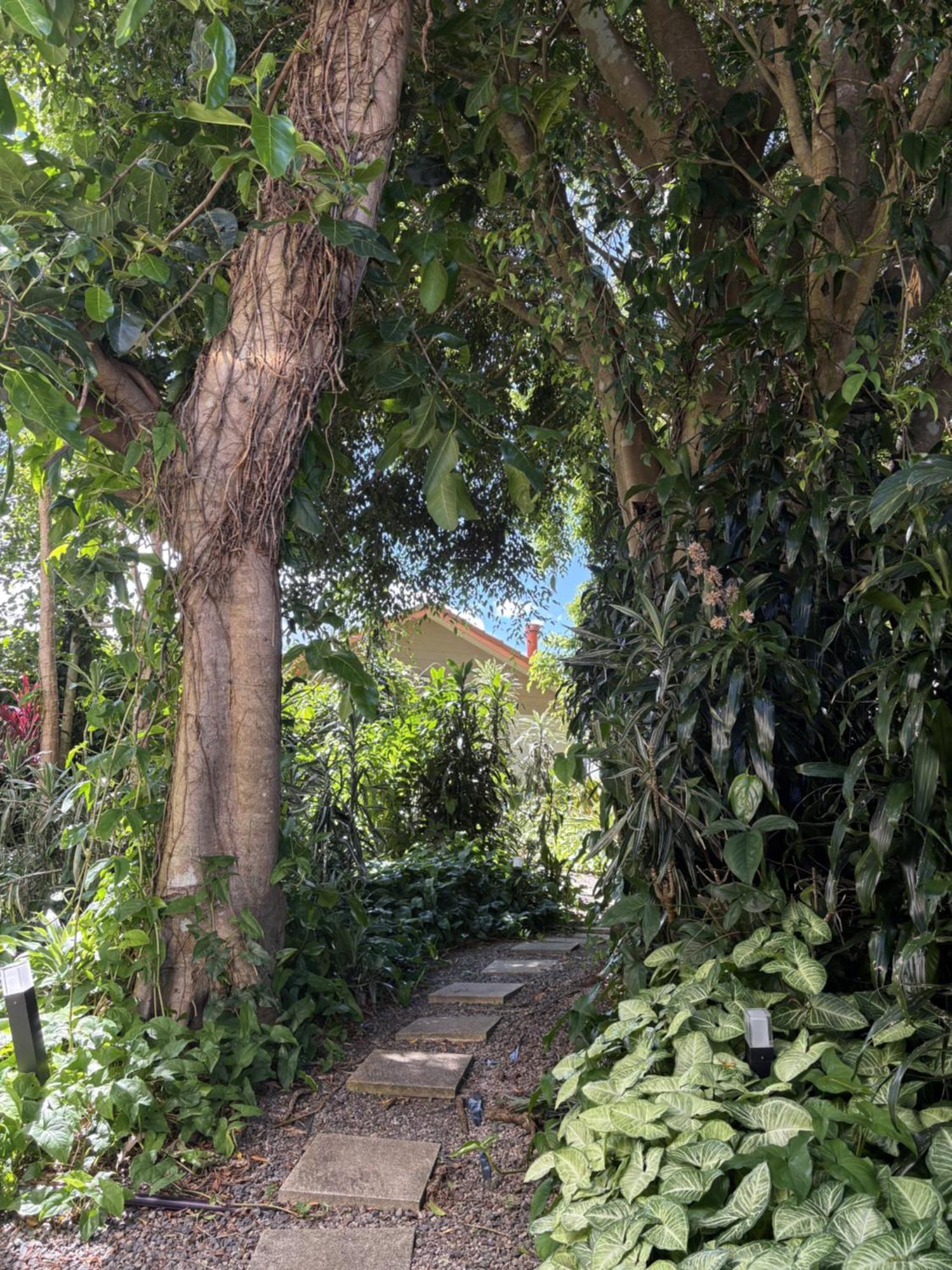 Maleny Terrace Cottages Exterior photo